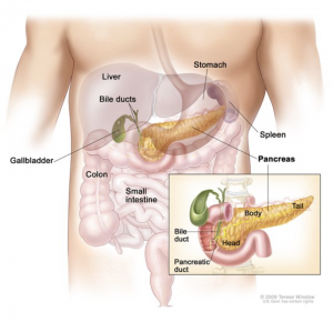 Congenital Hyperinsulinism