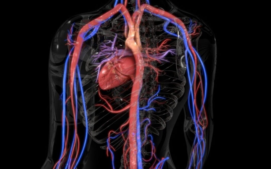 Phase 2 Results of Dusquetide in the Treatment of Oral Ulcers Caused by Behçet’s Disease