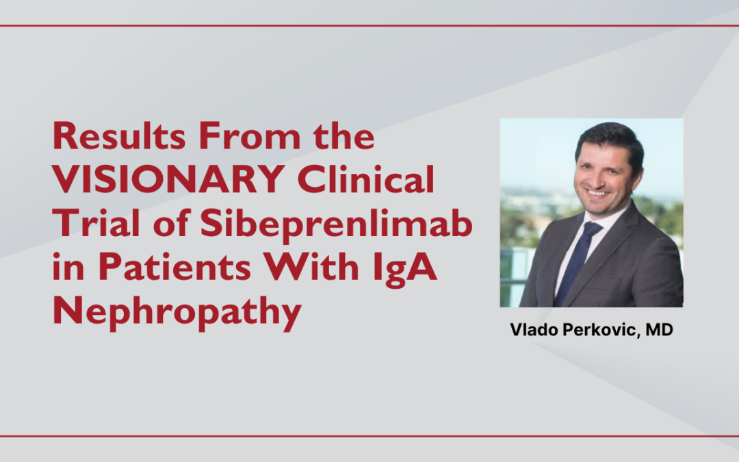 Results From the VISIONARY Clinical Trial of Sibeprenlimab in Patients With IgA Nephropathy